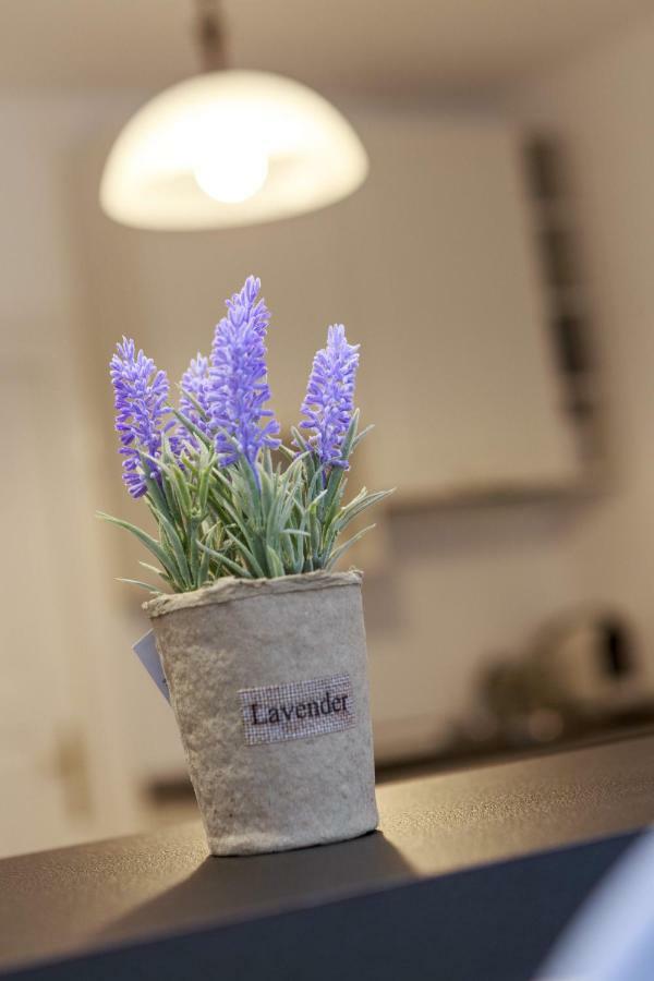 Strada Muresenilor - Savas Apartament 브라쇼브 외부 사진
